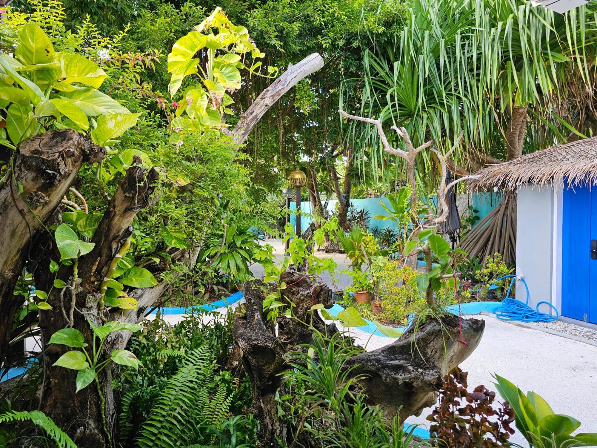 Garden By Lagoon View Apartman Bodufolhudhoo