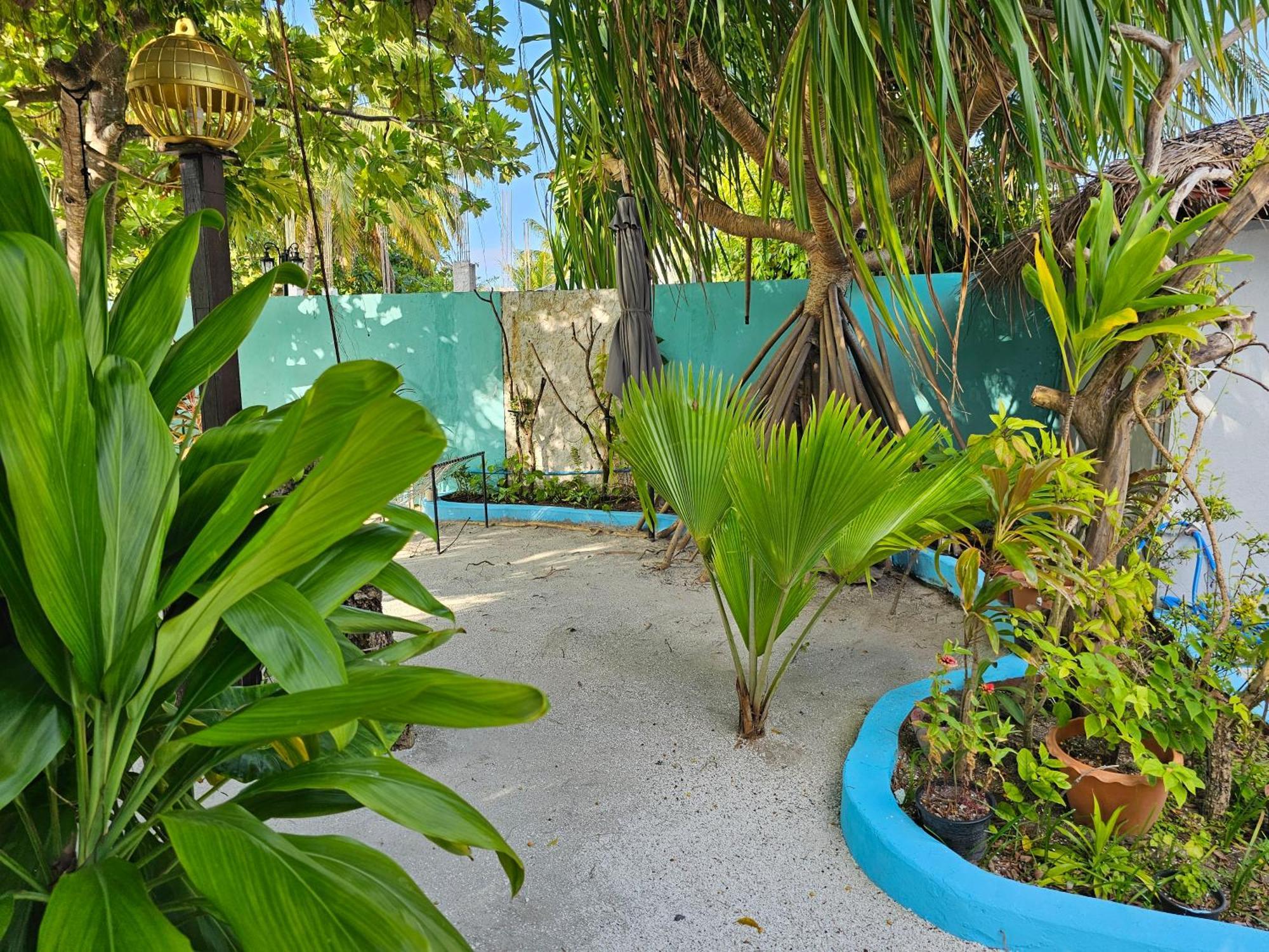 Garden By Lagoon View * Bodufolhudhoo