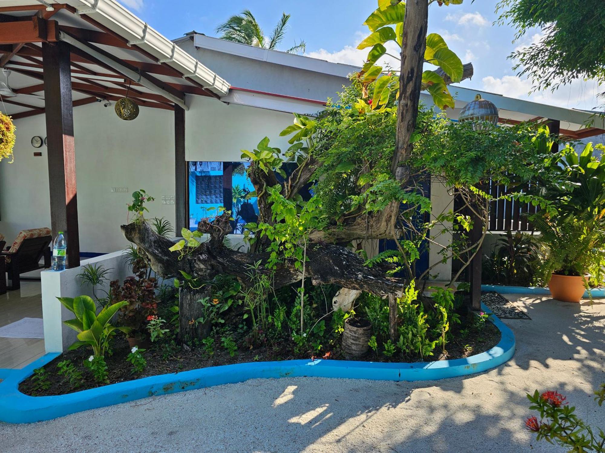 Apartman Garden By Lagoon View